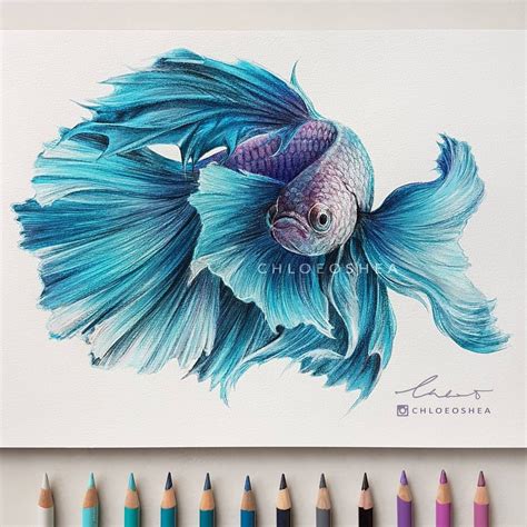 Realistic Fish Drawing at PaintingValley.com | Explore collection of ...