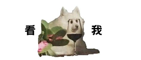 国际狗狗日 设计图__传统文化_文化艺术_设计图库_昵图网nipic.com