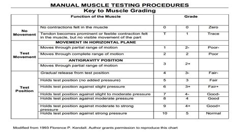 Manual Muscle Testing, Assessment And Grading | PPTX