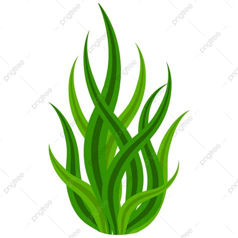 Green Seaweed Clipart