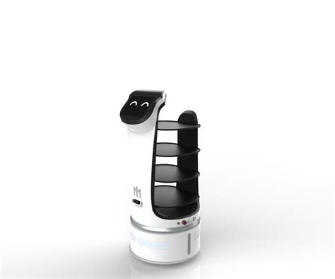 Service Robot 的图像结果