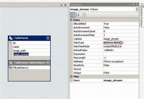 Visual Basic PictureBox Image Path From Access 的图像结果