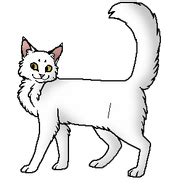 Буран | Коты-воители вики | Fandom