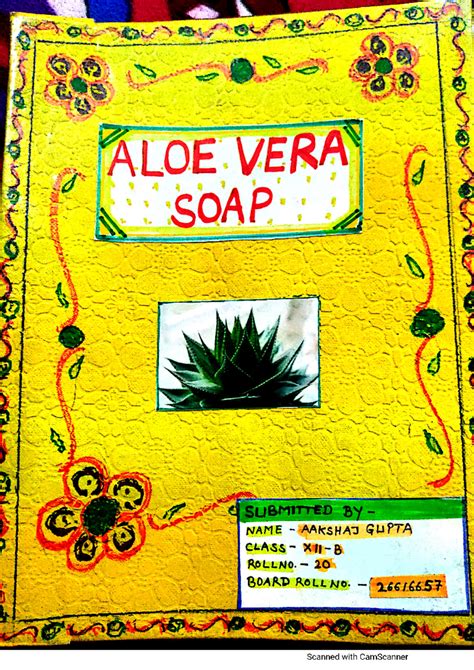 Chem project on preparation of aloe vera soap - ALOE VERA SOAP QQ ...