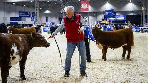 Carol villanes fotos xxxx