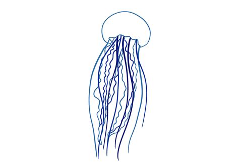 How to Draw a Jellyfish | Design School