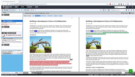 Collaborator Software 的图像结果