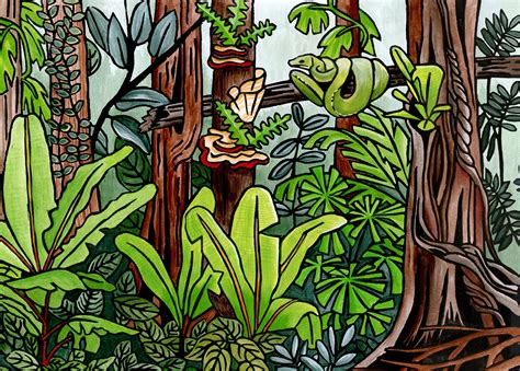 Image result for Python Visual Puzzles