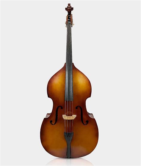 Double Bass Rental - Antonio Strad Violin