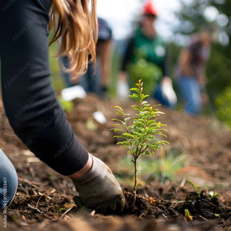 Image result for Pro-Humane Tree-Planting Project