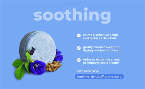 Buy The Switch Fix - Anti Dandruff Shampoo Bar For Sensitive, Dandruff ...