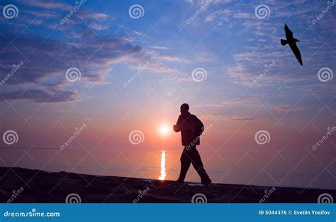 Image result for Long Distance Run