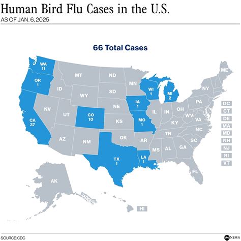 As 1st bird flu death reported in US, what could happen with virus in ...