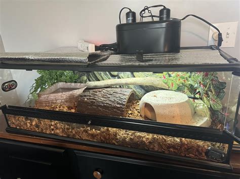 Setting Up Python Enclosure 的图像结果