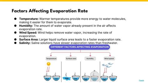 Rate Of Water Evaporation