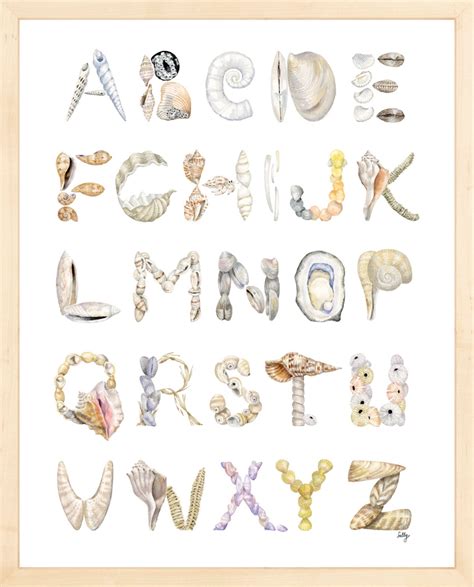 Image result for Leter H Shell