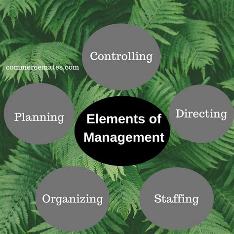 Elements Of Management