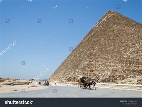 Pyramid Facts 的图像结果