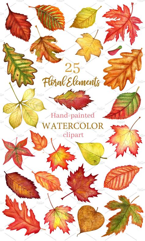 Autumn leaves watercolor clipart – Artofit