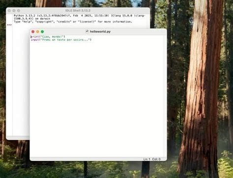 Image result for Programmare Python