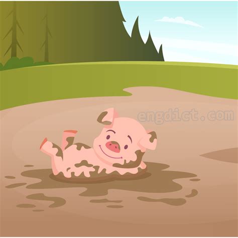 Mud Python 的图像结果