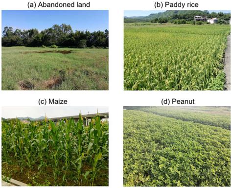 Abandoned Land Mapping Based on Spatiotemporal Features from PolSAR ...