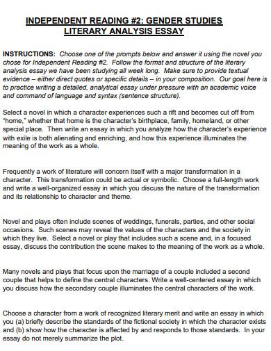 Image result for Literary Analysis Essay Examples