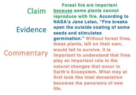 Commentary Examples 的图像结果