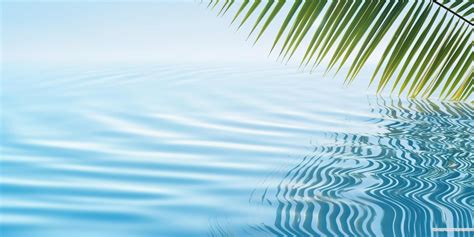 Relax Textured Background 的图像结果