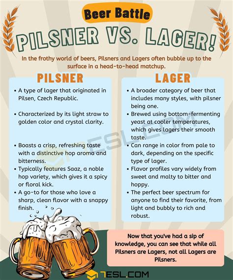 Pilsner vs. Lager: Confusing Beer Terms • 7ESL