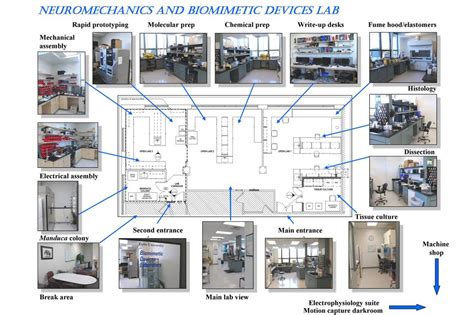Image result for Lab Program Diagrams