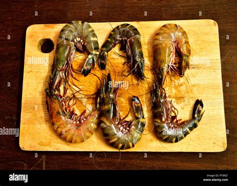 Large Penaeus monodon, or the giant tiger prawn or Asian tiger shrimp ...