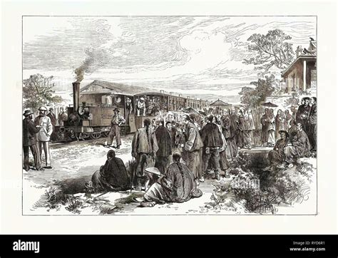 First Local Train 的图像结果