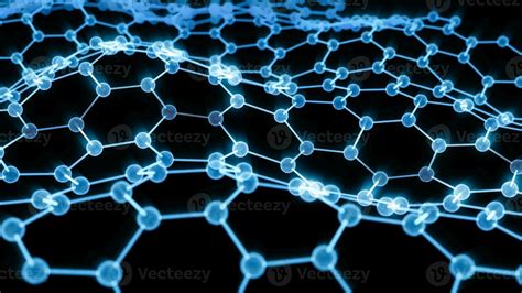 Image result for Hexagonal Structure Animals
