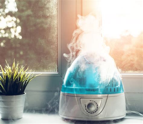 Image result for Best House Humidifiers