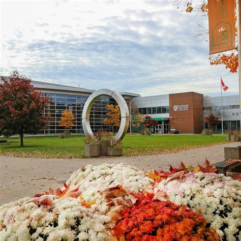 Image result for PR Graduate Programs