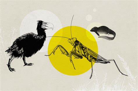 Future Animals Evolution 的图像结果