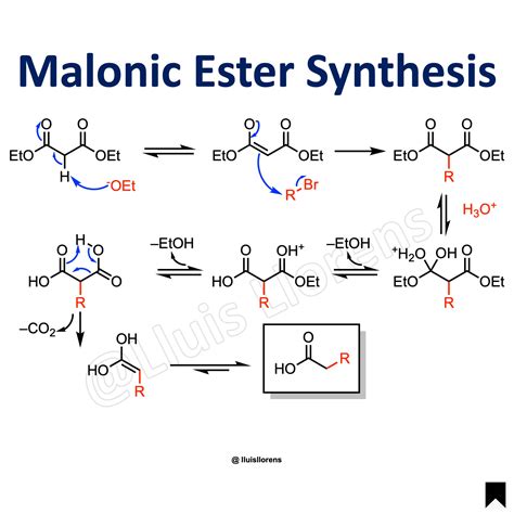 Malonic Ester Synthesis