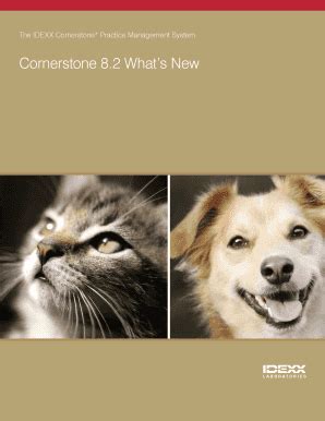 Image result for IDEXX Cornerstone Tutorial