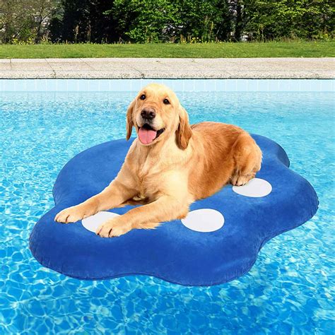 Best Pool Accessories For Your Summer Pool Party