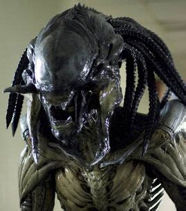 Image result for Predalien Animation