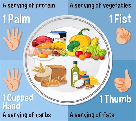 Image result for Macronutrients Graphics