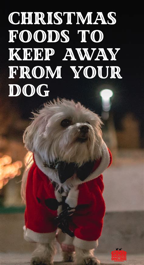 Foods Dogs Can't Eat | Bad Holiday Food for Dogs - Good Doggies Online | Foods bad for dogs, Can ...