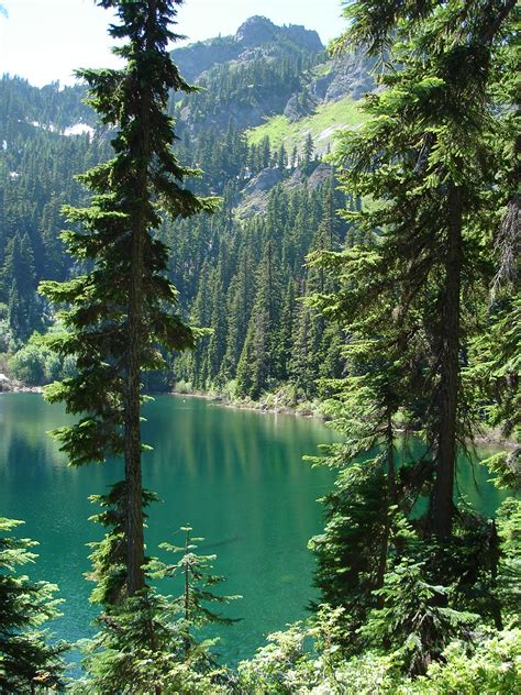 Fishing 的图像结果