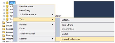 SQL Always Encrypted Retrieve Encrypted Column 的图像结果