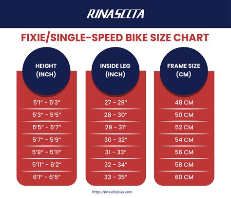 Bike Size Chart [Infographic]-Get The Right Size in 2 Mins