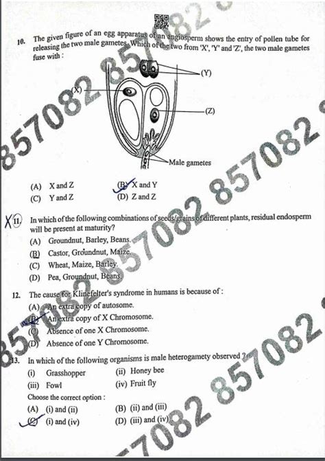 Check CBSE Class 12 Biology Term-1 Board Exam 2021 complete question ...