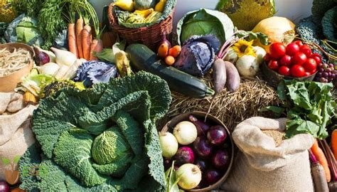 Homestead Gardening: Growing Your Own Sustainable Garden For Food Security