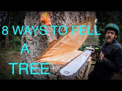 Image result for Tree Felling Escape Route