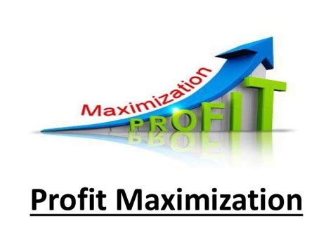Profit Maximization 的图像结果